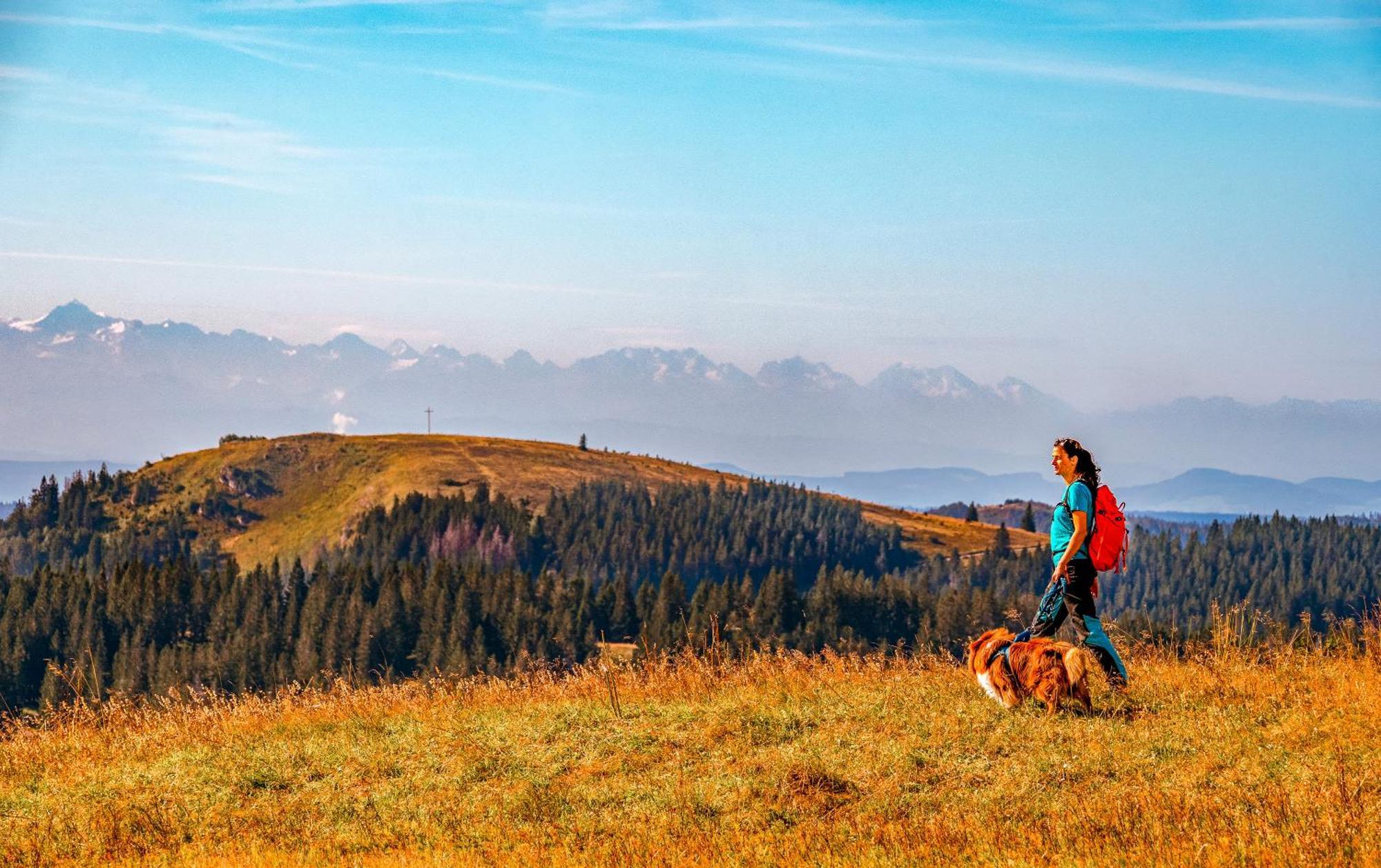 Ferienwohnungen Kehrwieder Todtnauberg Dış mekan fotoğraf
